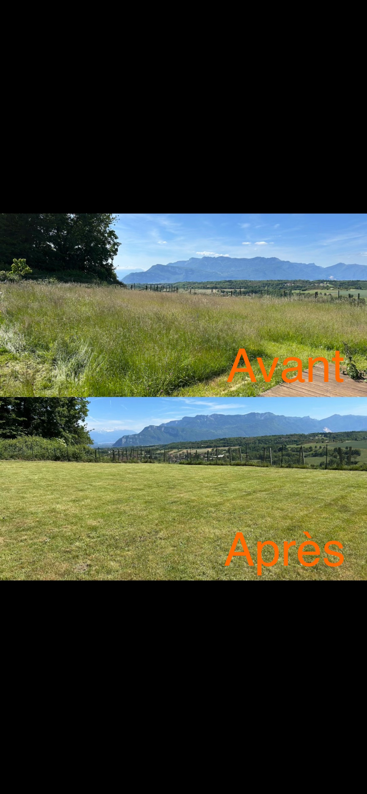 Terrain en friche avant et après débroussaillage avec vue montagne