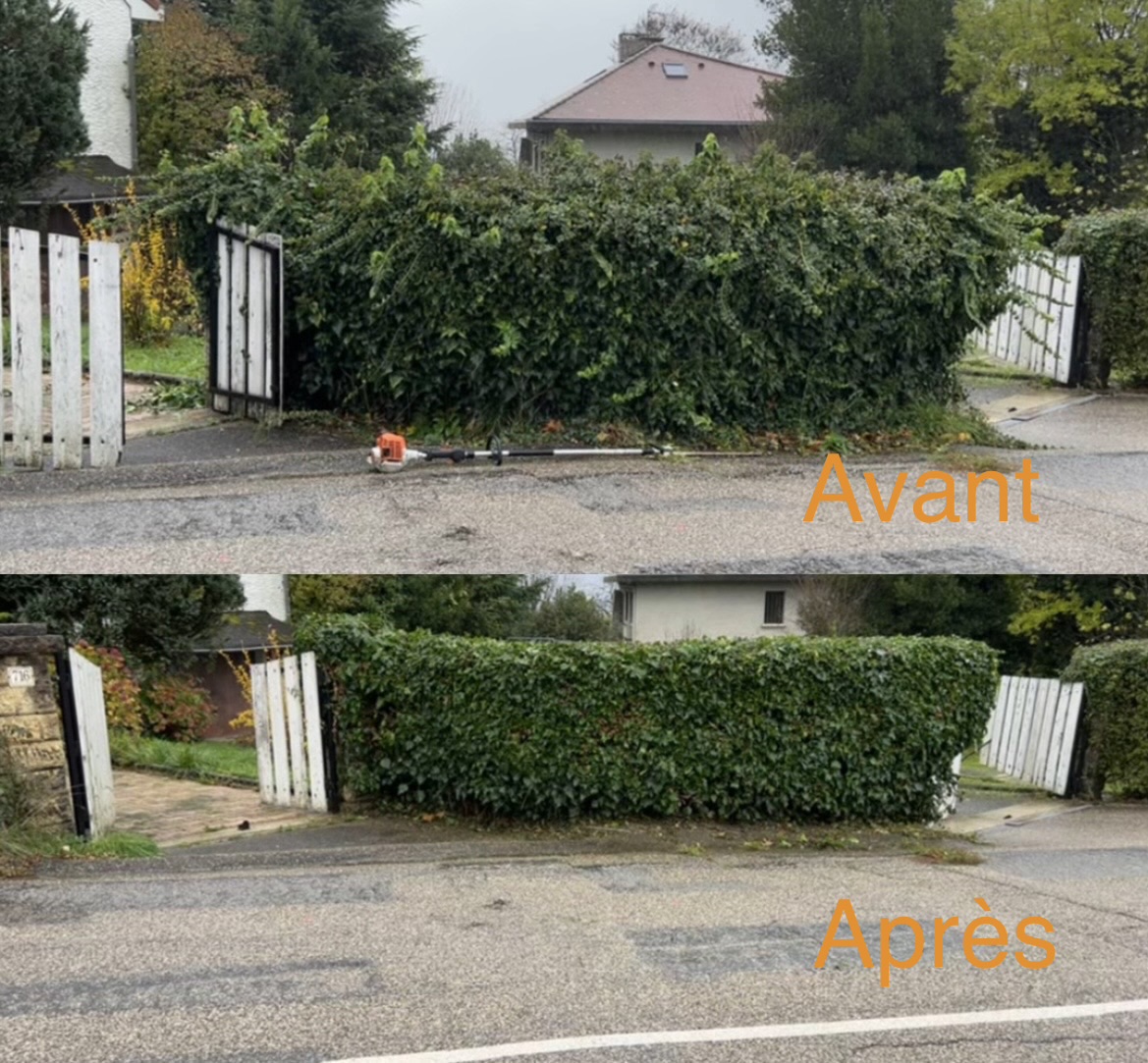 Haie envahissant un portail avant et après rabattage