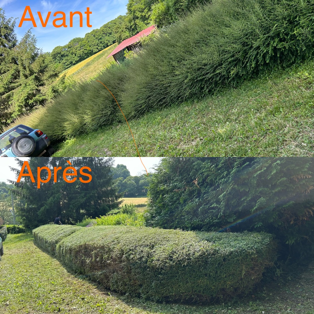 Talus en friche avant et après fauchage