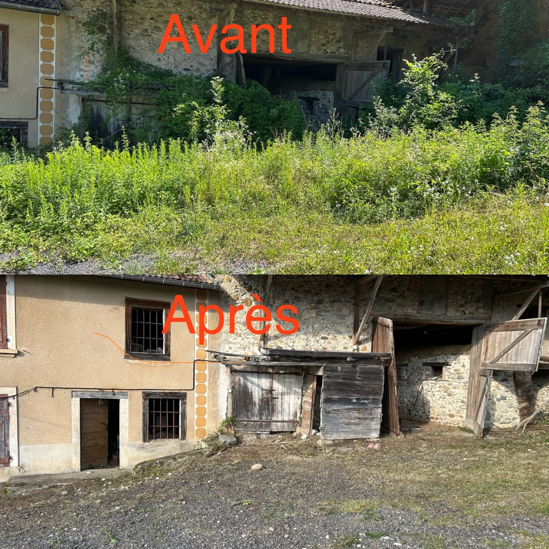 Bâtisse en pierre envahie de végétation avant et après débroussaillage