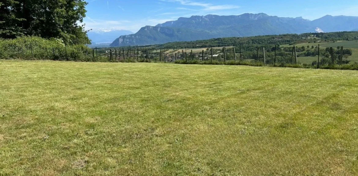 Terrain en friche avant et après débroussaillage avec vue montagne — après