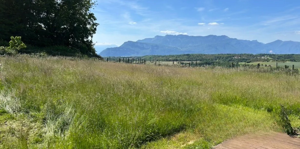 Terrain en friche avant et après débroussaillage avec vue montagne — avant