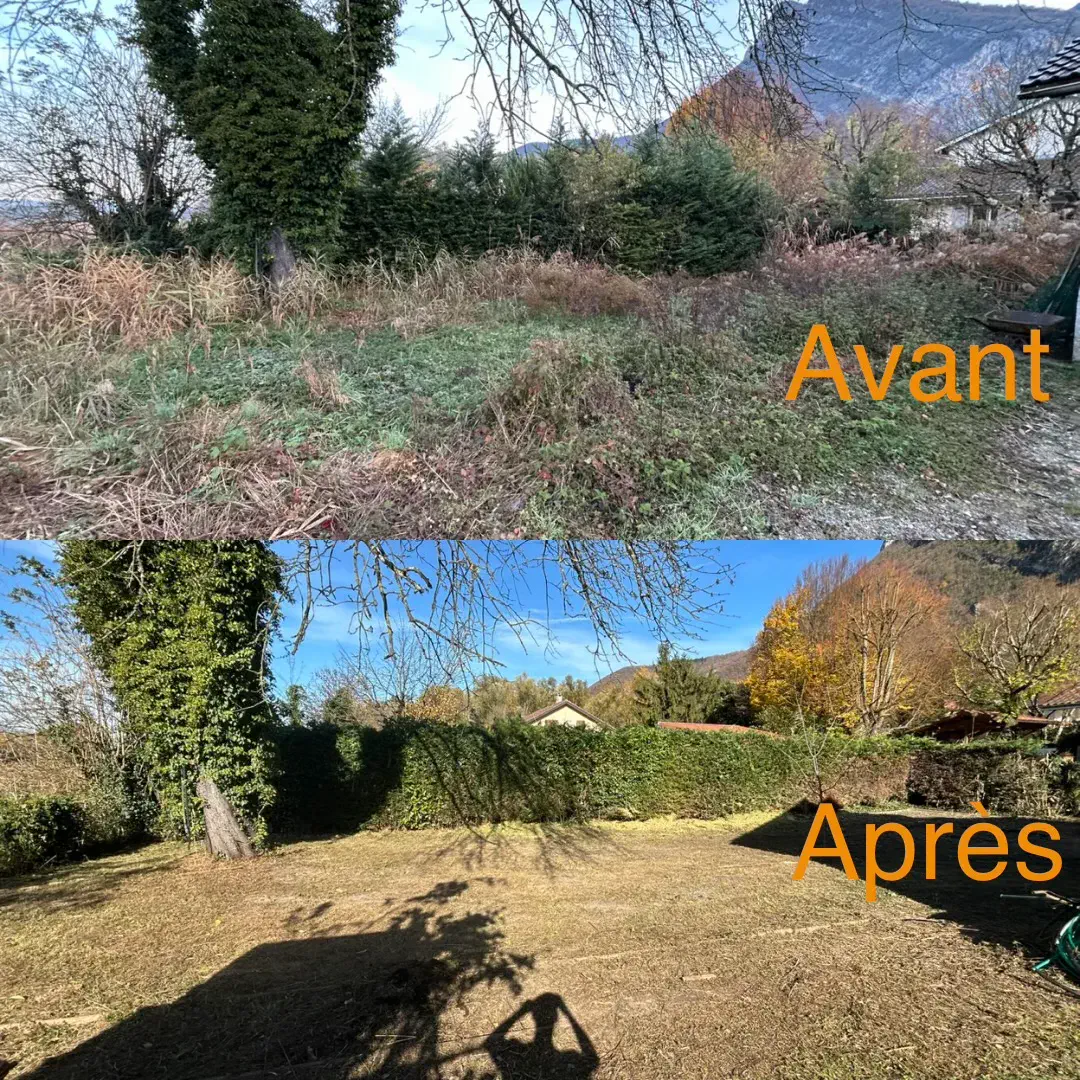 Terrain envahi avant et après débroussaillage avec vue sur le massif