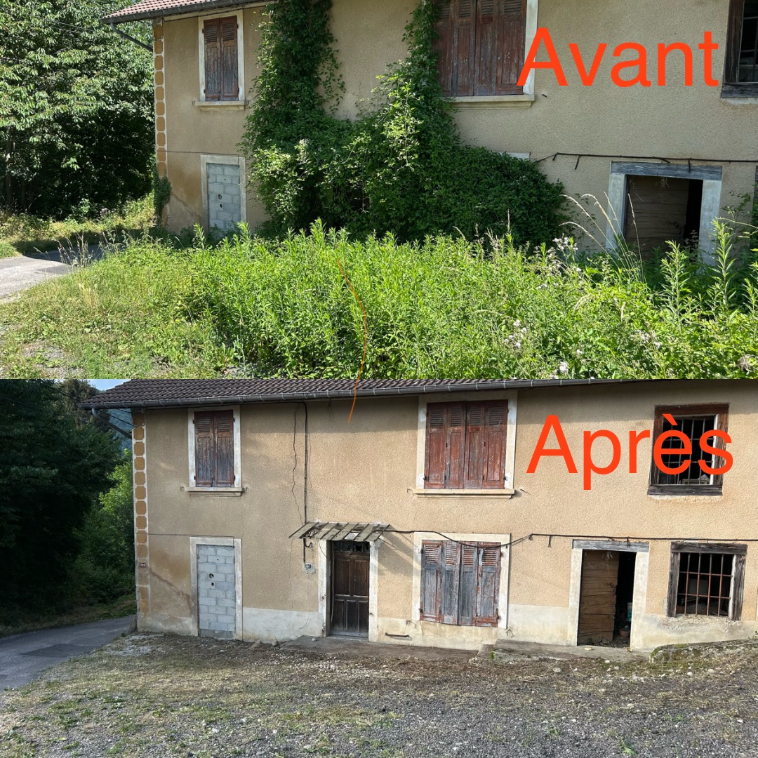 Avant-jardin envahi avant et après remise en état