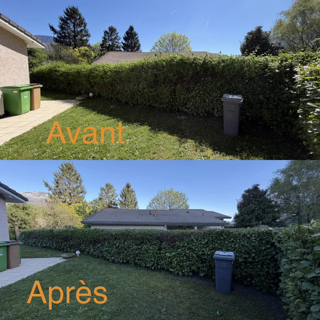 Haie en limite de propriété avant et après abaissement
