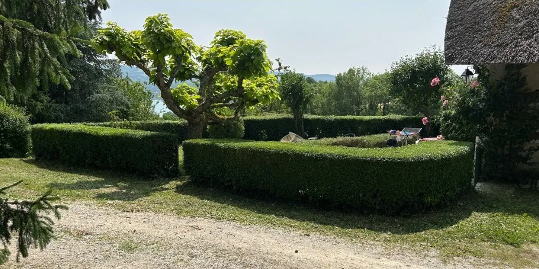 Haies sculptées avant et après taille dans un jardin de caractère — après