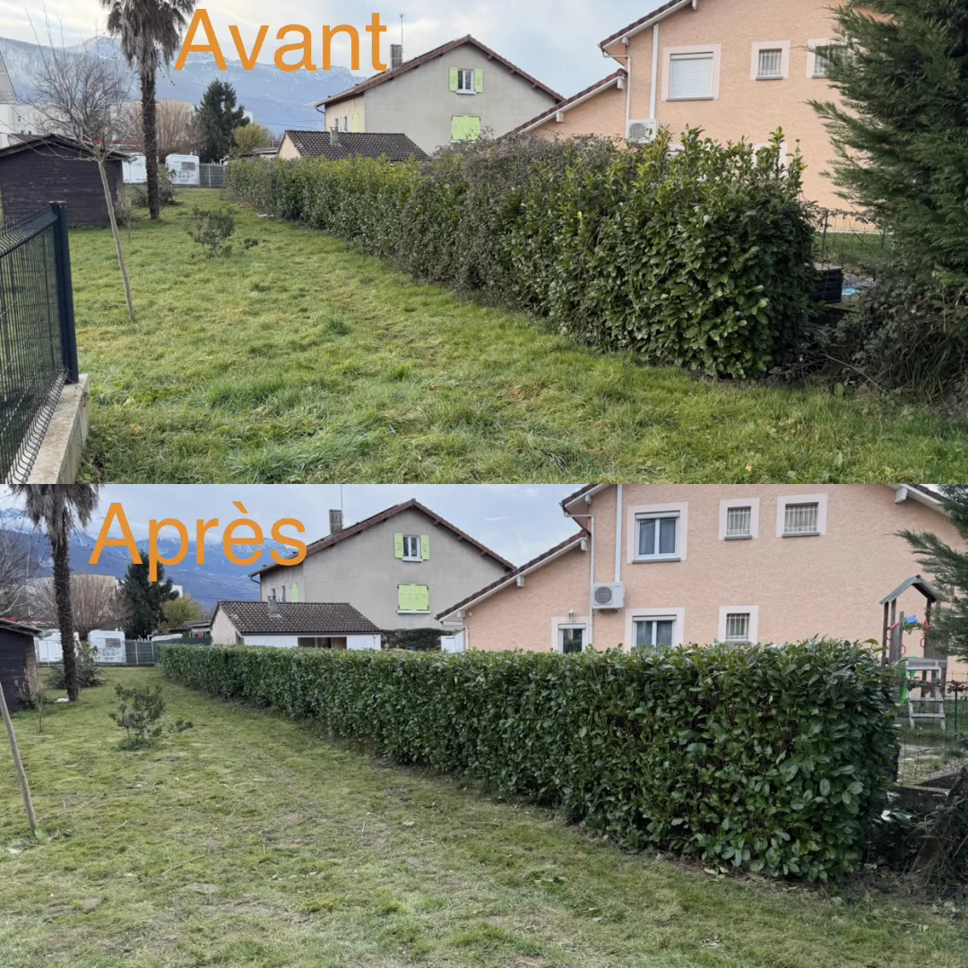 Haie haute avant et après rabattage, terrain remis au propre
