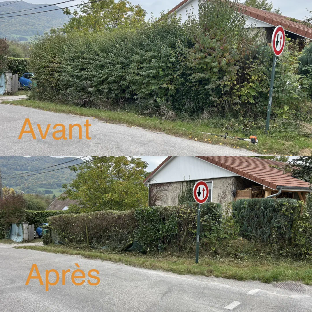 Haie débordant sur voirie avant et après dégagement