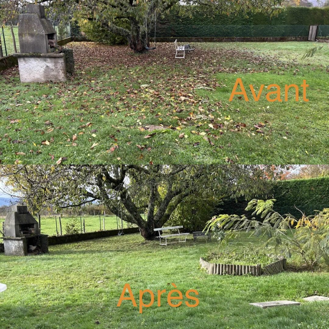 Pelouse pleine de feuilles avant et après ramassage d'automne