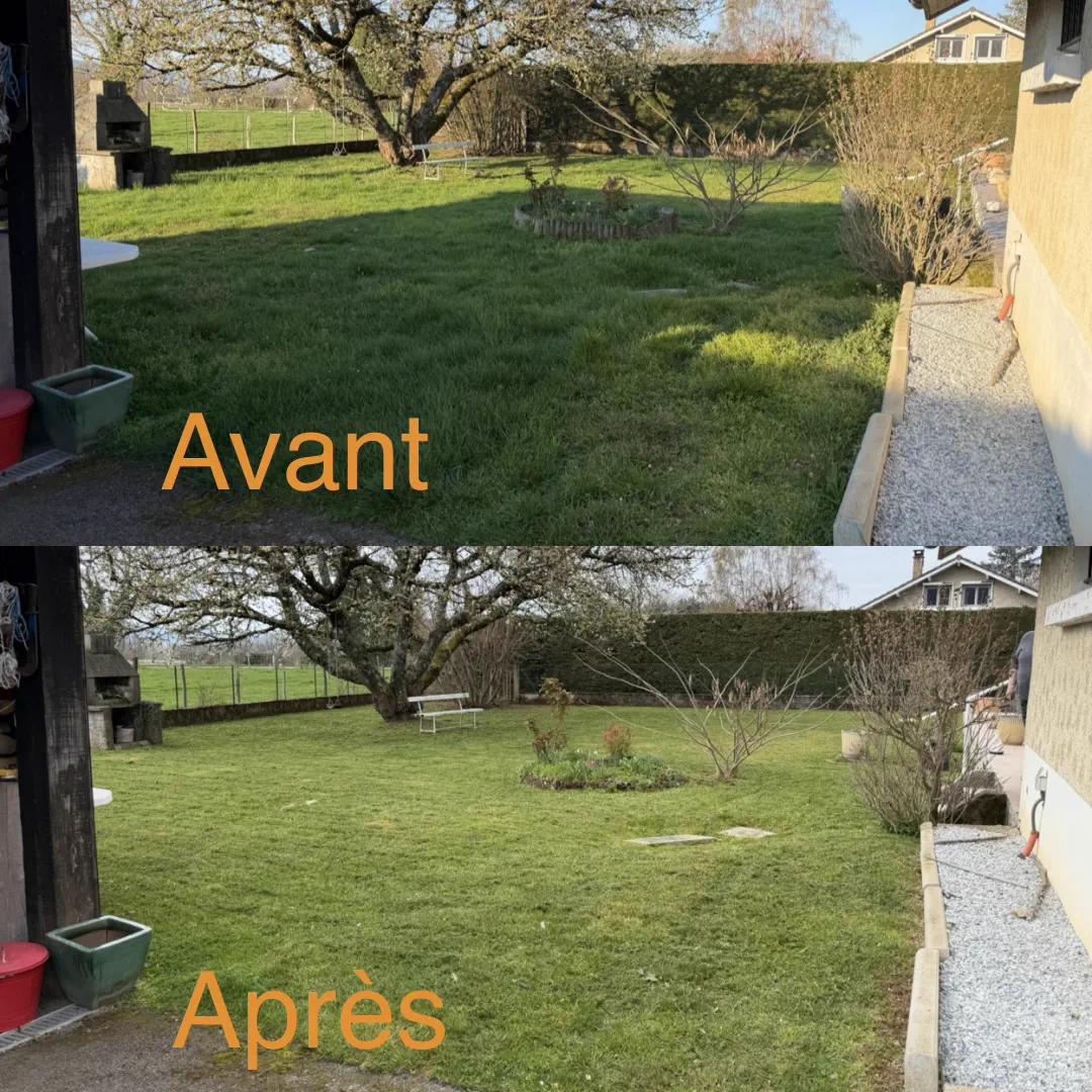 Pelouse avant et après tonte avec finitions