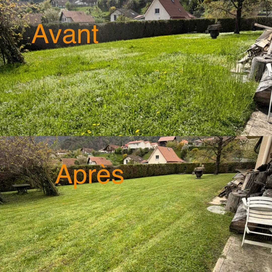 Pelouse en herbes hautes avant et après tonte